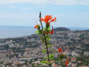 11220099_865608920203179_8061884001411683276_n (1)