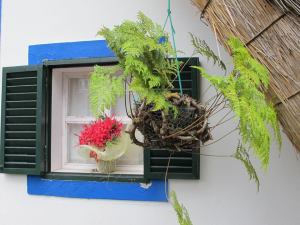 12038060_866016236829114_7173741395555142899_n