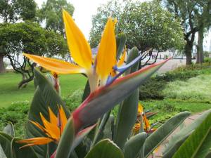 12141668_865235130240558_1577158752161694630_n