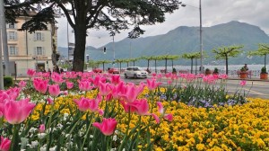 2014-04-20 19.38.33-2