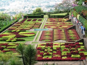 Madeira Botanik Park