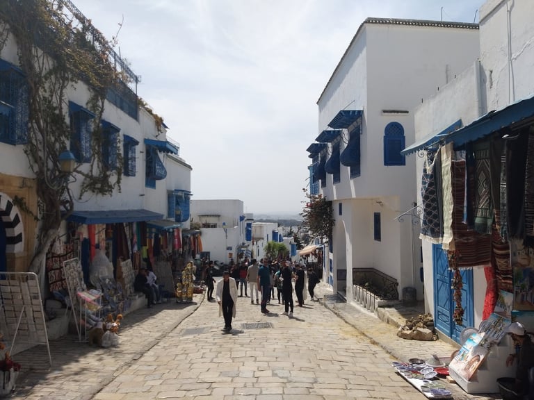 58442697_327576824614517_6526246786737111040_n