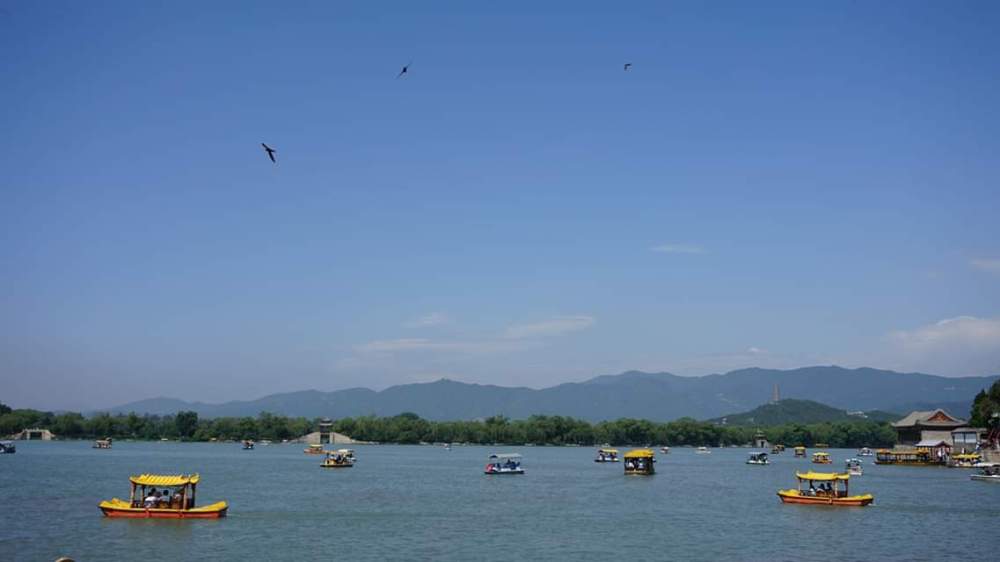 FB_IMG_1562864718508